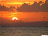 Green Beach - VIEQUES